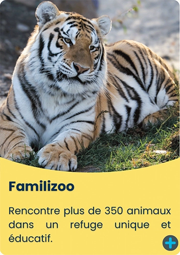 complexe atlantide-familizoo-zoo